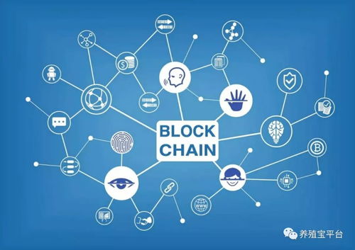 物联网、区块链与AI 谁在重塑4万亿传统养殖新格局